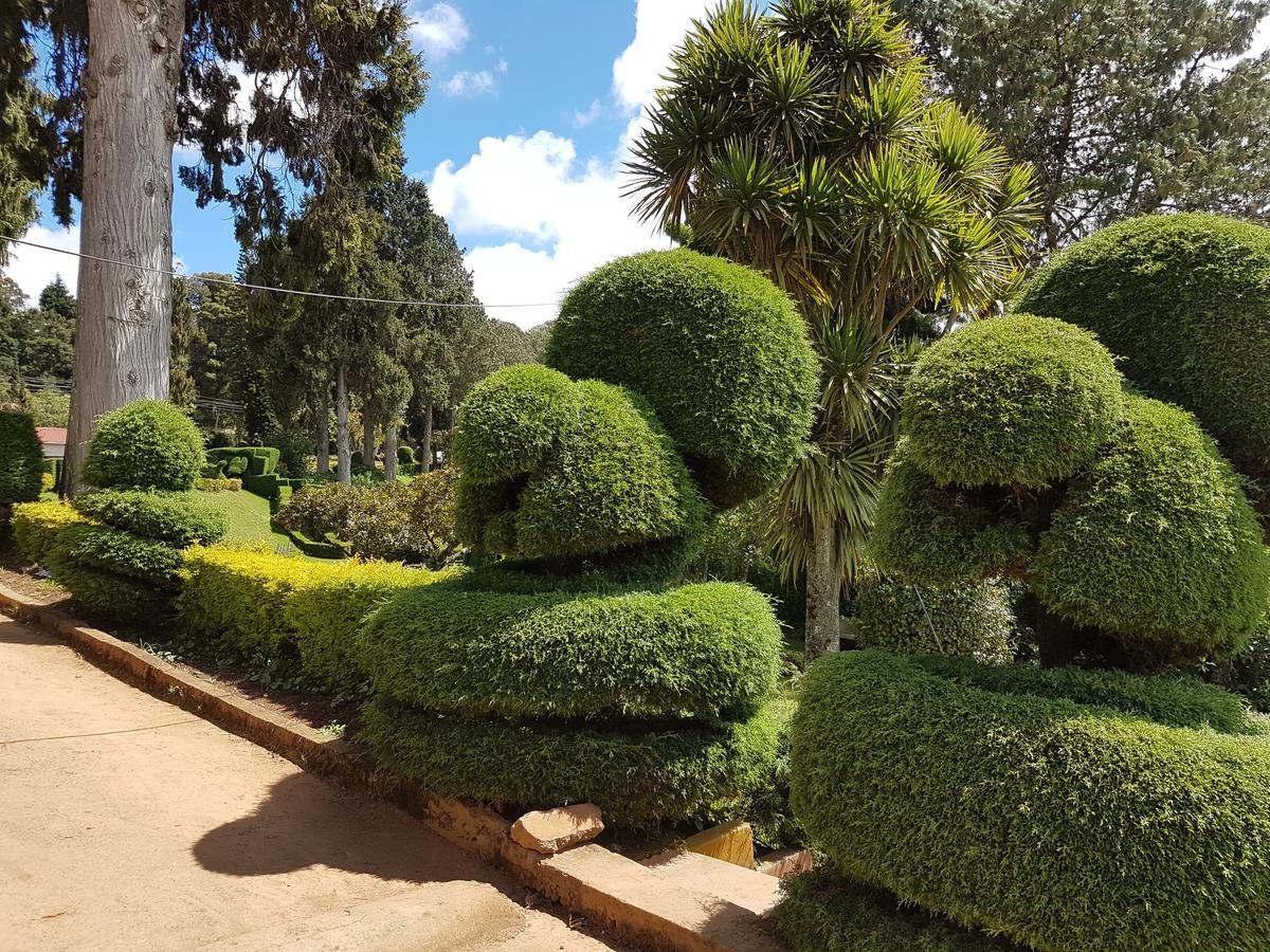 Kstdc Hotel Mayura Sudarshan ,Ooty Kültér fotó